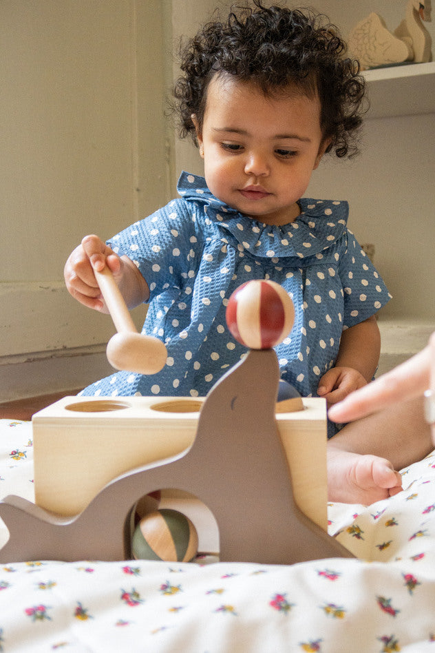 Holzspielzeug - Seelöwe