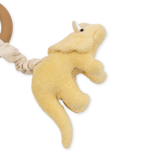 Activity Ring - Dino