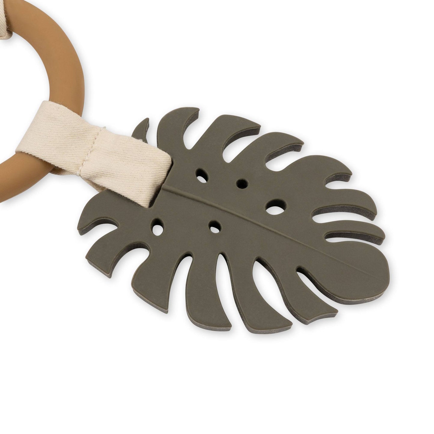 Activity Ring - Dino